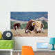 Hereford Bull Wall Mural