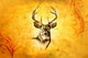 Antique Stag Art Drawing Handmade Nature Wall Decal