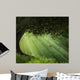 Old Tree Beautiful Day Wall Decal