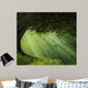 Old Tree Beautiful Day Wall Decal