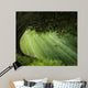 Old Tree Beautiful Day Wall Decal