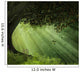 Old Tree Beautiful Day Wall Decal