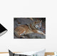 wolf Wall Mural
