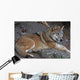 wolf Wall Mural