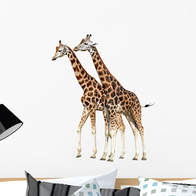 Giraffes White Wall Decal shown on a wall