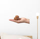 shelled walnuts Wall Decal