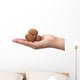 shelled walnuts Wall Decal