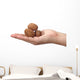 shelled walnuts Wall Decal