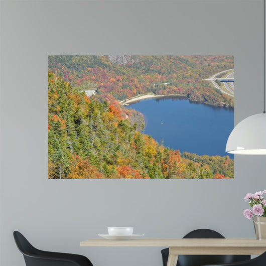 White Mountain National Forest 3 Wall Decal