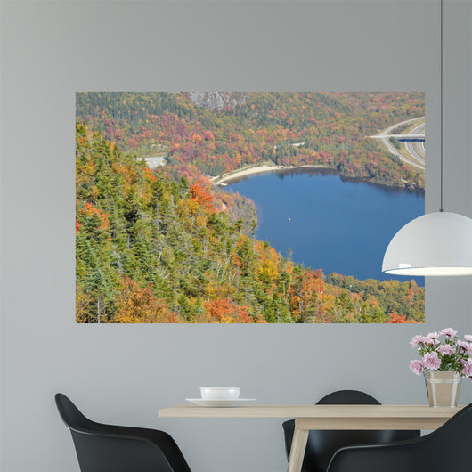 White Mountain National Forest 3 Wall Decal