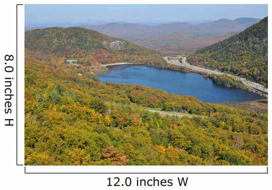 White Mountain National Forest 2 Wall Decal