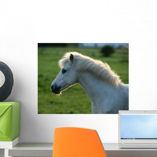 Weisses Pony Gegenlicht Wall Decal