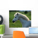 Weisses Pony Gegenlicht Wall Decal