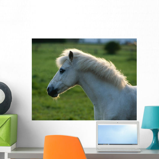 Weisses Pony Gegenlicht Wall Decal
