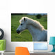 Weisses Pony Gegenlicht Wall Decal