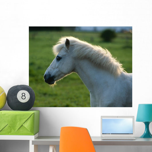 Weisses Pony Gegenlicht Wall Decal