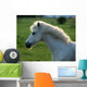Weisses Pony Gegenlicht Wall Decal