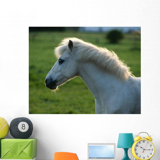 Weisses Pony Gegenlicht Wall Decal