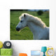 Weisses Pony Gegenlicht Wall Decal