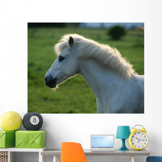 Weisses Pony Gegenlicht Wall Decal