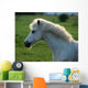Weisses Pony Gegenlicht Wall Decal