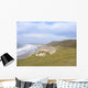 Rhossili Wall Decal
