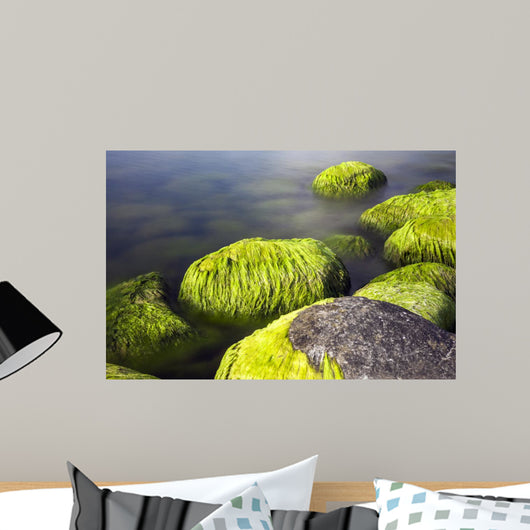 Seaside Stones and Moss Wall Decal