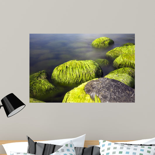 Seaside Stones and Moss Wall Decal