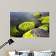 Seaside Stones and Moss Wall Decal