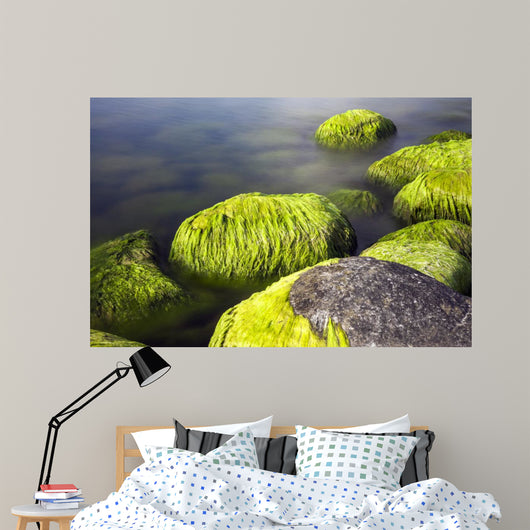 Seaside Stones and Moss Wall Decal