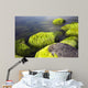 Seaside Stones and Moss Wall Decal