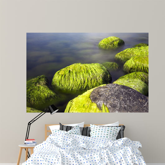 Seaside Stones and Moss Wall Decal