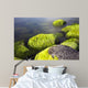 Seaside Stones and Moss Wall Decal