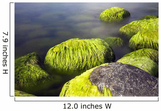 Seaside Stones and Moss Wall Decal