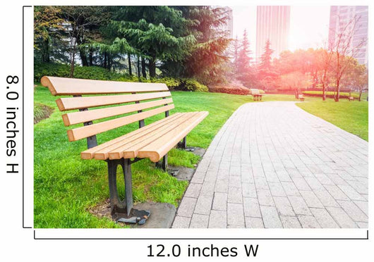 City Park Wall Decal