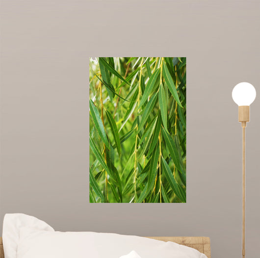 Weeping Willow Wall Decal