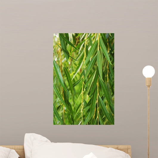 Weeping Willow Wall Decal