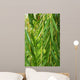 Weeping Willow Wall Decal