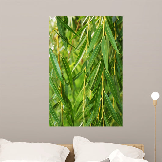 Weeping Willow Wall Decal