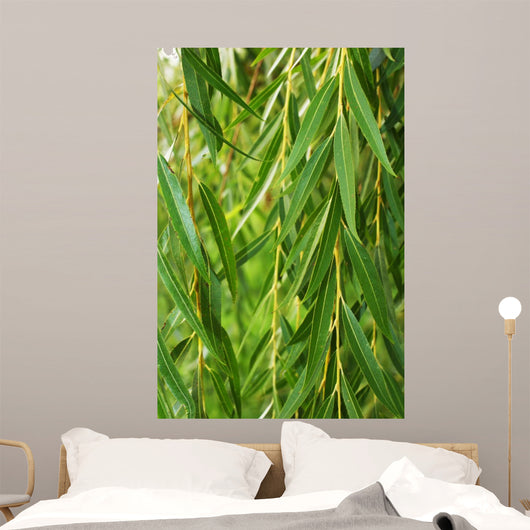 Weeping Willow Wall Decal