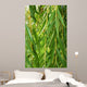 Weeping Willow Wall Decal