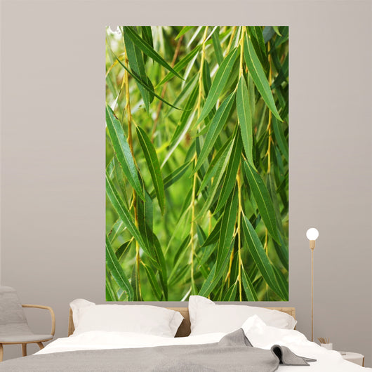 Weeping Willow Wall Decal
