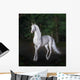 Unicorn Night Forest Wall Decal