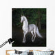 Unicorn Night Forest Wall Decal