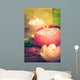 Oil Massage Aromatic Candles Stones Zen Wall Mural