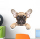 Puppy over White Banner Wall Decal