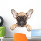 Puppy over White Banner Wall Decal