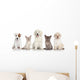 Group Kitten and Puppies Wall Decal