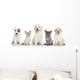 Group Kitten and Puppies Wall Decal