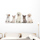 Group Kitten and Puppies Wall Decal